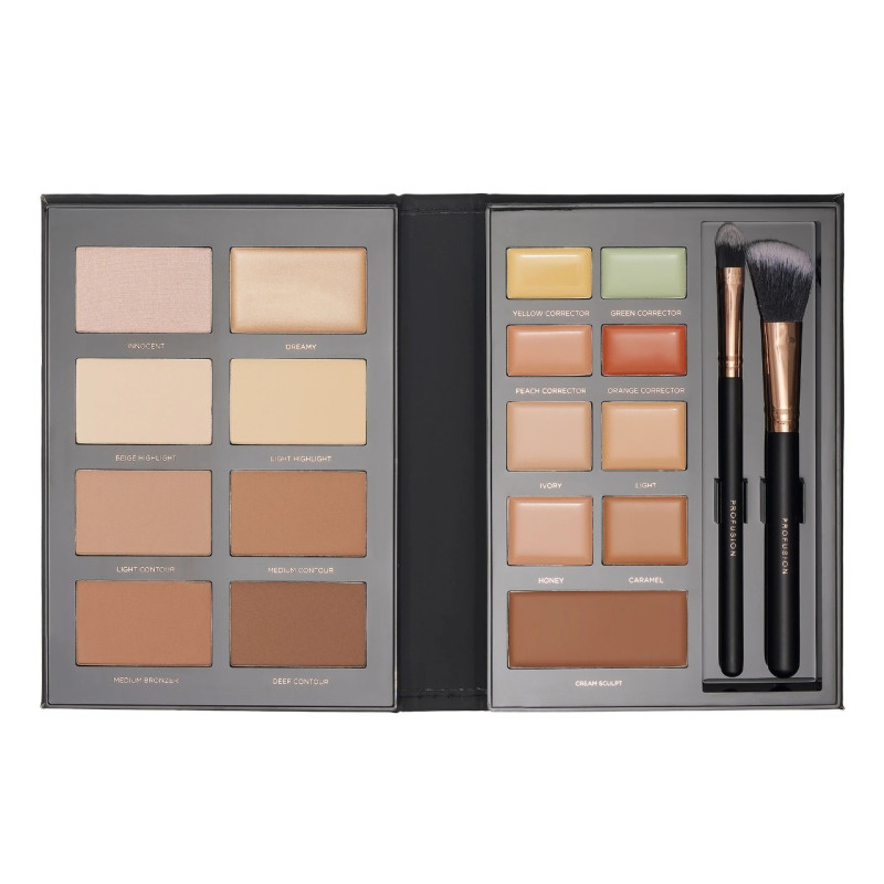 Profusion Cosmetics Pro Conceal Contour 19 pc Kit