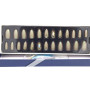 Sticky Nails attractive multi-size easy-to-install adhesive nails BK 19-95 piece 24