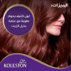 Wella Koleston Color Cream Semi-Kit - Aubergine 305/66