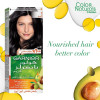 Garnier Color Naturals 1 black Haircolor 