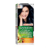Garnier Color Naturals 2.10 blue black Haircolor 