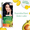 Garnier Color Naturals 2.10 blue black Haircolor 