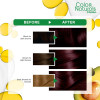 Garnier Color Naturals 3.6 deepred brown Haircolor 