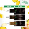 Garnier Color Naturals 3 dark brown Haircolor 