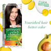 Garnier Color Naturals 3 dark brown Haircolor 
